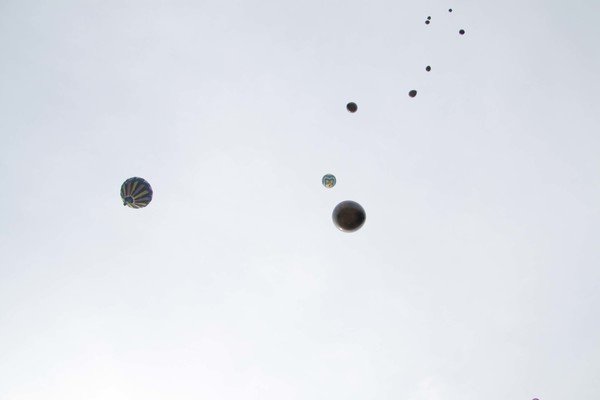 IMG_7991.jpg